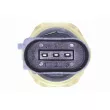 Capteur, pression de carburant VEMO V10-72-1552 - Visuel 2