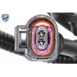 Capteur, vitesse de roue VEMO V10-72-7801 - Visuel 2
