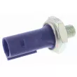 Indicateur de pression d'huile VEMO V10-73-0401 - Visuel 1