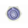 Indicateur de pression d'huile VEMO V10-73-0401 - Visuel 2