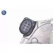 Corps papillon VEMO V10-81-0048 - Visuel 2