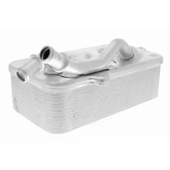 Radiateur d'huile de boîte automatique VEMO V15-60-0011