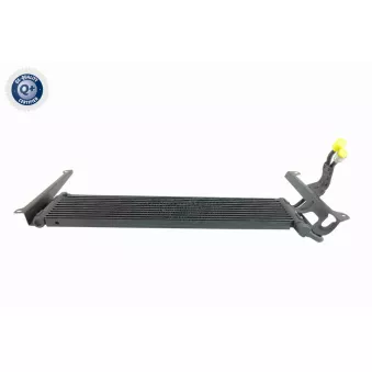 Radiateur d'huile VEMO V15-60-6076