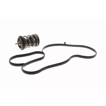 Thermostat d'eau VEMO V15-99-2120