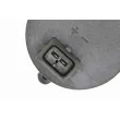 Pompe de circulation d'eau, chauffage auxiliaire VEMO V20-16-0002 - Visuel 2