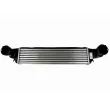 Intercooler, échangeur VEMO V20-60-0013 - Visuel 1