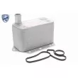 Radiateur d'huile VEMO V20-60-0042 - Visuel 1
