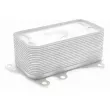 Radiateur d'huile VEMO V20-60-0044 - Visuel 1