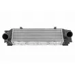 Intercooler, échangeur VEMO V20-60-0090 - Visuel 1