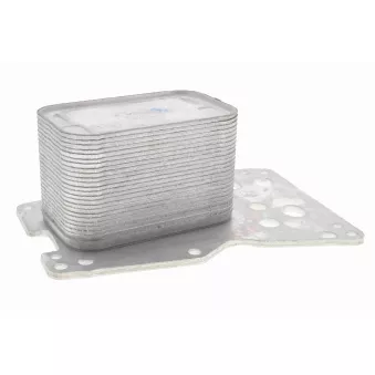 Radiateur d'huile VEMO V20-60-1533
