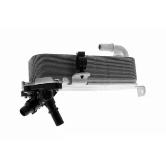 Radiateur d'huile de boîte automatique VEMO V20-60-1660