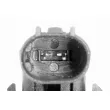Capteur, niveau d'eau de refroidissement VEMO V20-72-0056-1 - Visuel 2