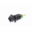 Sonde de température, liquide de refroidissement VEMO V20-72-0441 - Visuel 1