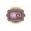 Sonde de température, liquide de refroidissement VEMO V20-72-0442 - Visuel 3