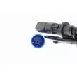 Capteur, vitesse de roue VEMO V20-72-0451-1 - Visuel 2