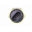 Capteur, pression de carburant VEMO V20-72-0548-1 - Visuel 3