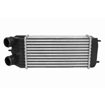 Intercooler, échangeur VEMO V22-60-0005