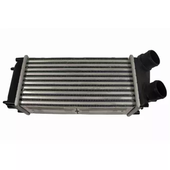 Intercooler, échangeur VEMO V22-60-0007