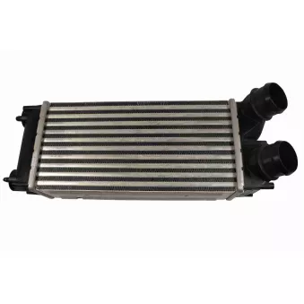 Intercooler, échangeur VEMO V22-60-0009
