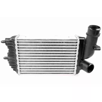 Intercooler, échangeur VEMO V22-60-0013