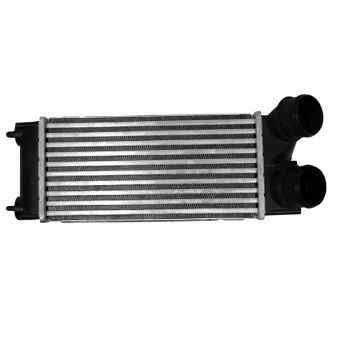 Intercooler, échangeur VEMO V22-60-0015