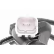 Capteur, vitesse de roue VEMO V22-72-0116 - Visuel 2