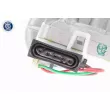 Moteur d'essuie-glace VEMO V24-07-0025 - Visuel 2