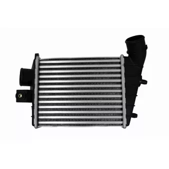 Intercooler, échangeur VEMO V24-60-0005