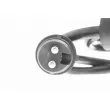 Capteur, vitesse de roue avant droit VEMO V24-72-0161 - Visuel 2