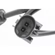 Capteur, vitesse de roue VEMO V24-72-0212 - Visuel 2