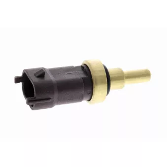 Sonde de température, liquide de refroidissement VEMO V24-72-0246