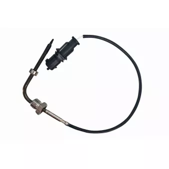 Capteur, température des gaz VEMO V24-72-0264