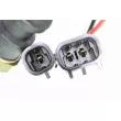 Interrupteur de température, ventilateur de radiateur VEMO V24-99-0021 - Visuel 2