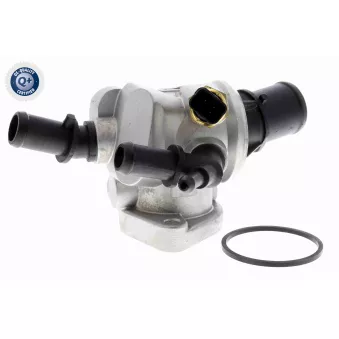 Thermostat d'eau VEMO V24-99-0040