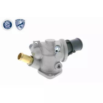 Thermostat d'eau VEMO V24-99-0044