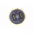 Interrupteur de température, ventilateur de radiateur VEMO V24-99-1253 - Visuel 2