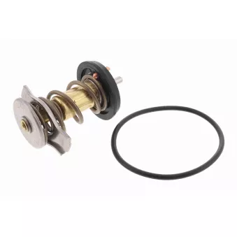 Thermostat d'eau VEMO V24-99-1273