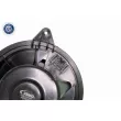 Pulseur d'air habitacle VEMO V25-03-1629 - Visuel 2