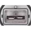 Pompe d'eau de nettoyage, nettoyage des phares VEMO V25-08-0015 - Visuel 2