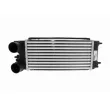Intercooler, échangeur VEMO V25-60-0062 - Visuel 1