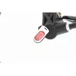 Capteur, vitesse de roue VEMO V25-72-0003 - Visuel 2