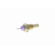 Sonde de température, liquide de refroidissement VEMO V25-72-0021 - Visuel 1