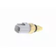 Sonde de température, liquide de refroidissement VEMO V25-72-0043 - Visuel 1