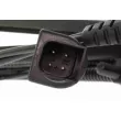 Capteur, vitesse de roue VEMO V25-72-0071 - Visuel 2