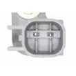 Capteur, vitesse de roue VEMO V25-72-1098 - Visuel 2