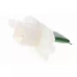 Régulateur, pulseur d'air habitacle VEMO V25-79-0011 - Visuel 1