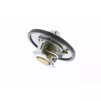 Thermostat d'eau VEMO V25-99-1722