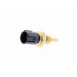 Sonde de température, liquide de refroidissement VEMO V26-72-0002 - Visuel 1
