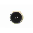 Sonde de température, liquide de refroidissement VEMO V26-72-0002 - Visuel 2