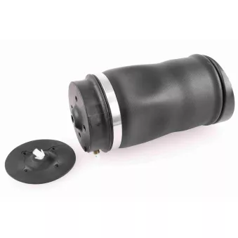 Ressort pneumatique, châssis VEMO V30-50-0022